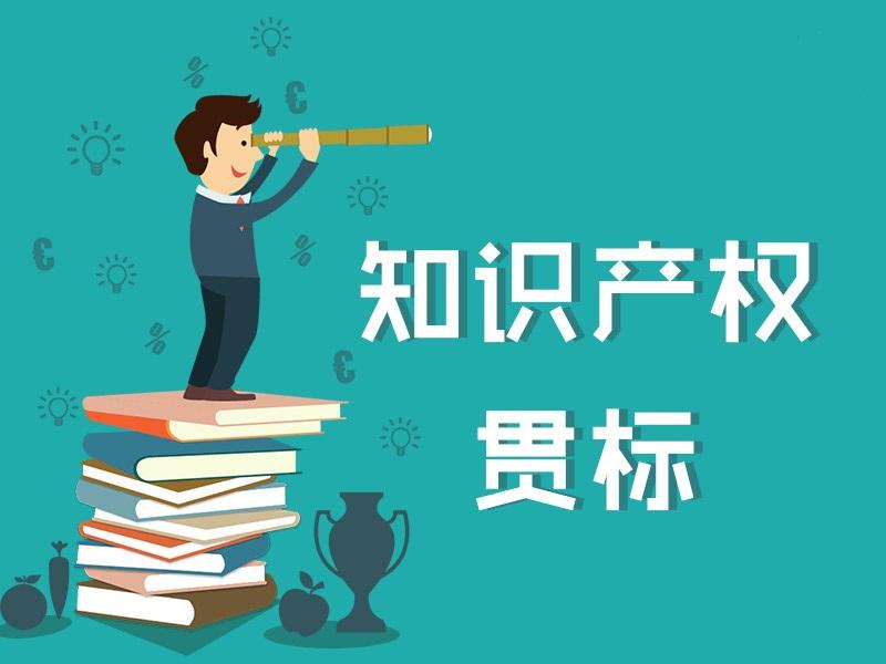 企業(yè)進(jìn)行知識(shí)產(chǎn)權(quán)貫標(biāo)的目的及好處