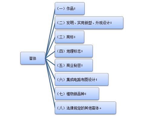 知識(shí)產(chǎn)權(quán)客體