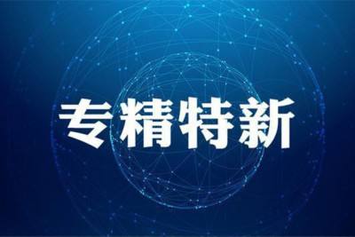 “專精特新”企業(yè)如何布局高質(zhì)量專利申請！?