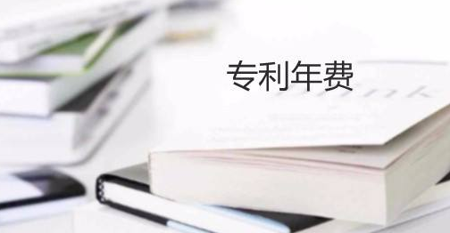 盛陽(yáng)小講堂：實(shí)用新型專(zhuān)利年費(fèi)繳納流程